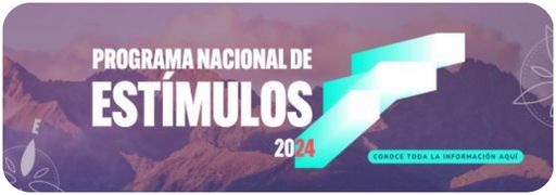 Programa Nacional de Estímulos