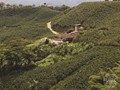Paisaje Cultura Cafetero 2 Fotografía suministrada por el MinCultura