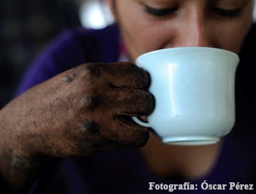 Paisaje Cultural Cafetero.jpg