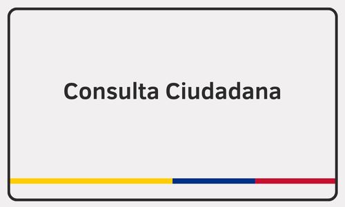 Consulta Ciudadana