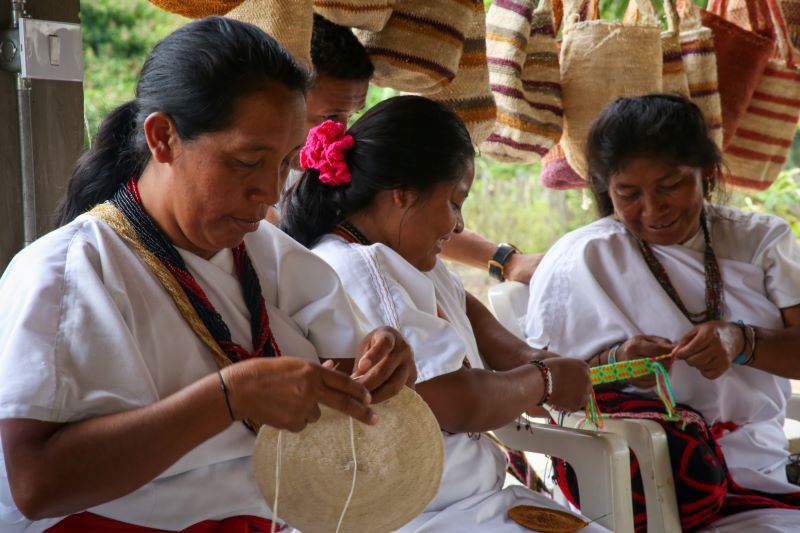 Pueblos indígenas